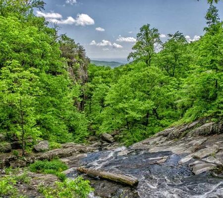 Eye Drop Artificial Tears