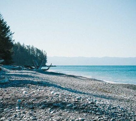 Albuterol Sulfate Inhalation Soln