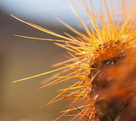 Irrigation Solution 250 ML