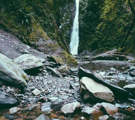 Amoxicillin Capsules