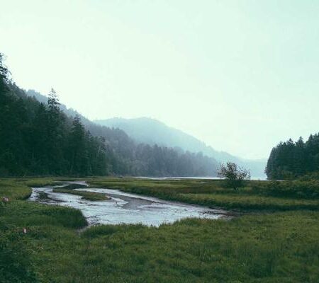 Acetominophin Tablets