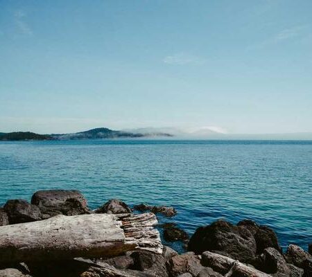 Bacitracin Ointment 500 MGM