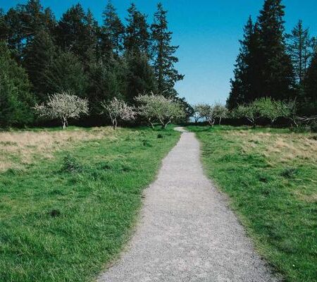 Bandage Medi-Rip Latex